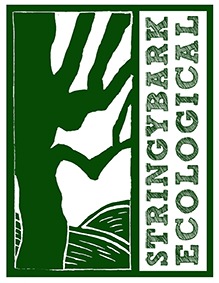 Green Native Tree logo