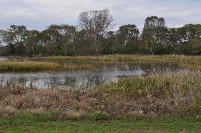 Narrabri Lake